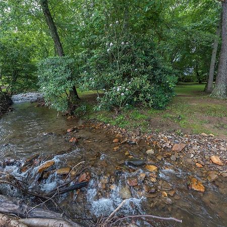 Winterberry Cottage Treetop Balcony And 5 Min To Downtown Black Mtn! Black Mountain Exterior photo